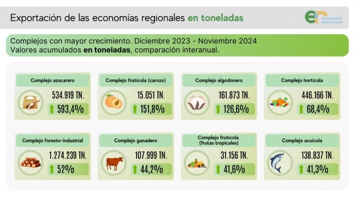 Según la CAME | En noviembre, las exportaciones de las economías regionales alcanzaron los USD 8.941 millones 8 WhatsApp Image 2025 01 06 at 11.05.10 3 - 7