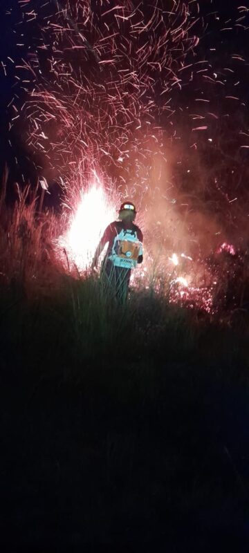 Incendio en Santa Ana | Bomberos controlaron el fuego tras diez horas de lucha 4 WhatsApp Image 2025 01 27 at 10.53.49 - 3