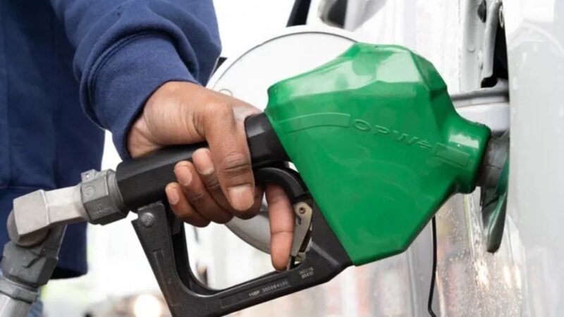 Combustibles | El Gobierno oficializó la medida que permite el autoservicio de nafta y gasoil Combustibles