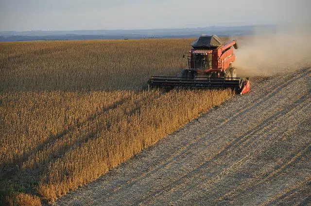 Deterioro industrial Argentino: El empleo y la producción siguen en baja según la UIA agroexportador 1 - 6
