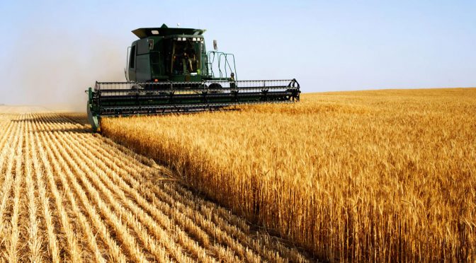 Alivio al Campo | Referentes del agro destacaron la baja de las retenciones por parte del Gobierno 4 campo - 3