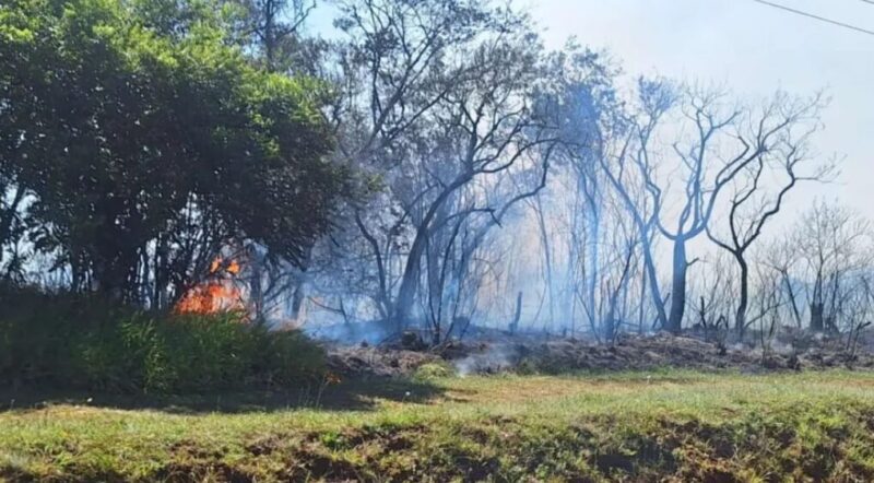 Peligrosidad extrema | Trabajo intenso de los bomberos para terminar con incendios en Posadas y Candelaria candelaria - 1