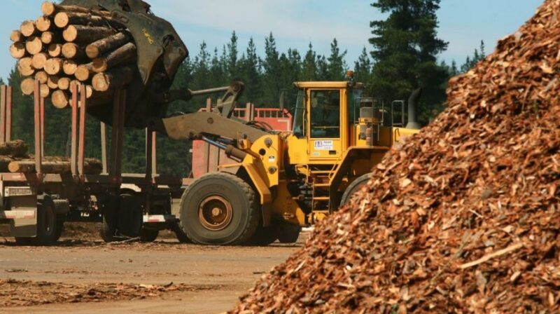 Crisis forestoindustrial | “El sector continuará aguantando y buscando estrategias para sostenerse”, sostuvo Marangoni dosrestal - 2