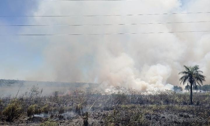 Peligrosidad extrema | Trabajo intenso de los bomberos para terminar con incendios en Posadas y Candelaria 3 fuego - 2