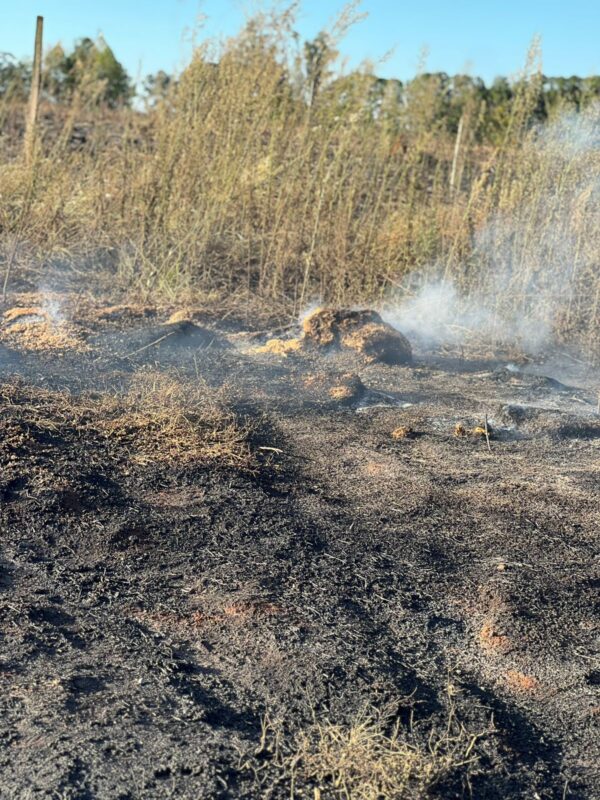 Arde Misiones | Hubo más de 120 operativos para controlar incendios en los primeros 10 dias de enero 4 incendio 3 - 3