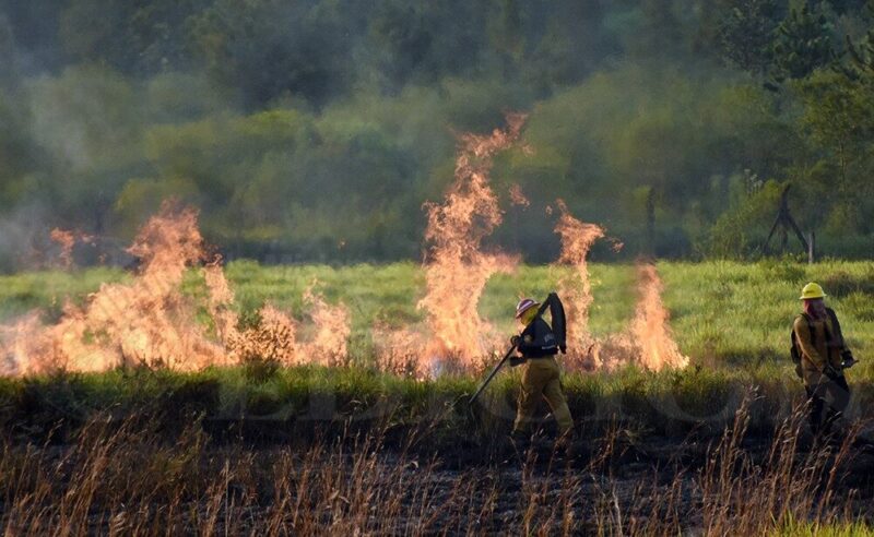 incendios - 1