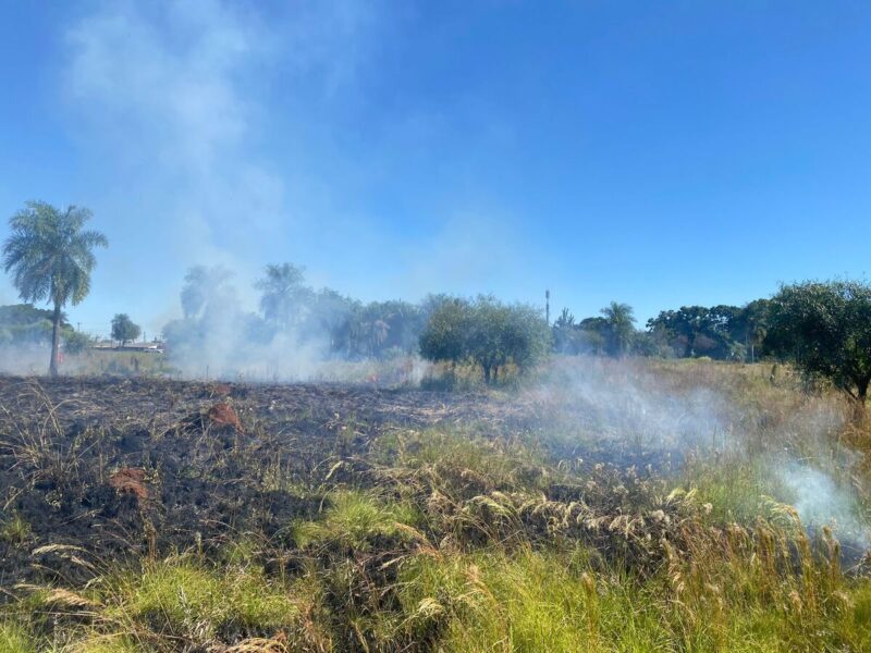 Posadas | Policías detuvieron a un hombre que inició un incendio de pastizales pastizales incendio 1 1 - 2
