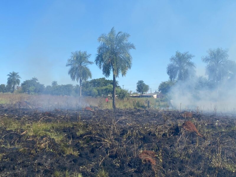 Posadas | Policías detuvieron a un hombre que inició un incendio de pastizales 3 pastizales incendio 2 - 2