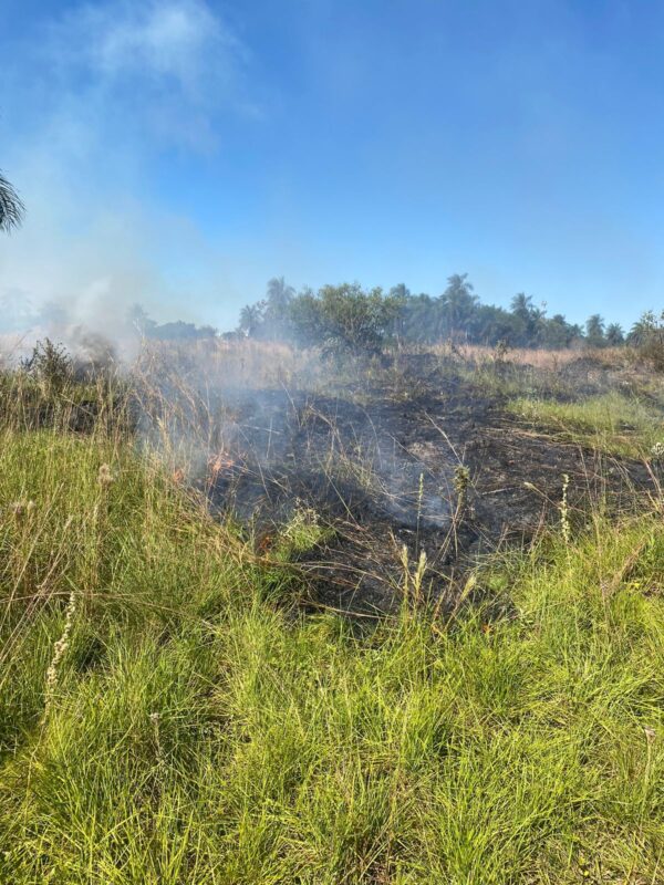 Posadas | Policías detuvieron a un hombre que inició un incendio de pastizales 5 pastizales incendio 3 - 4