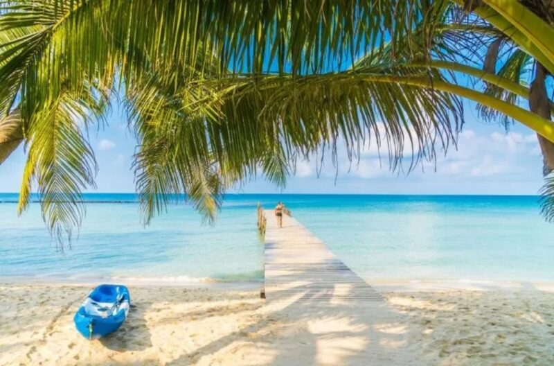 Vacaciones | La playa Balandra, un paraíso buscado y elegido por los turistas playa 2 1 - 4