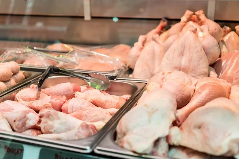 Por primera vez en 30 años se consumió más pollo que carne en Argentina 5 tipos pollo crianzajpeg - 4