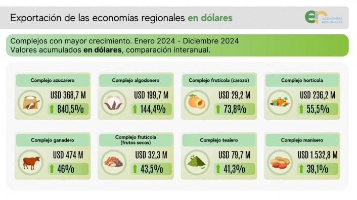 Según la CAME | En 2024, las exportaciones de las economías regionales crecieron 23,8% en dólares 7 WhatsApp Image 2025 02 02 at 13.23.59 - 6