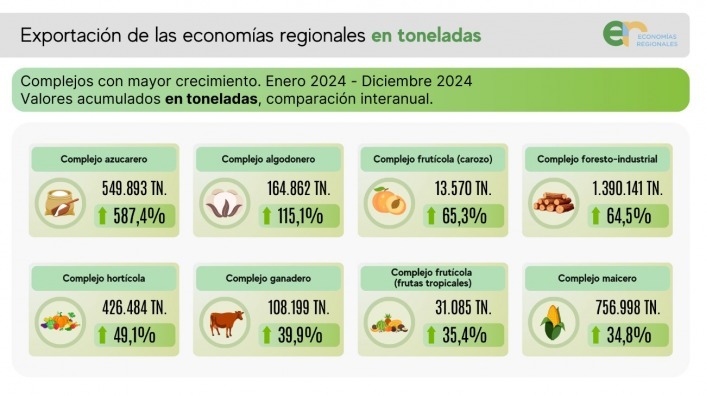 Según la CAME | En 2024, las exportaciones de las economías regionales crecieron 23,8% en dólares 9 WhatsApp Image 2025 02 02 at 13.24.07 - 8