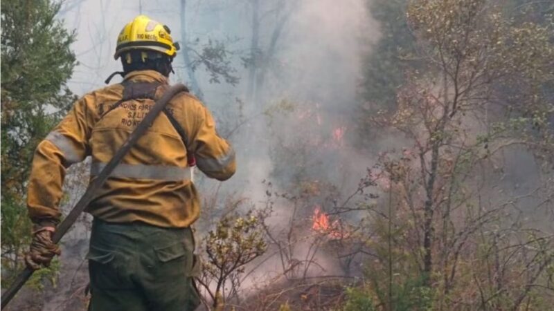 Incendio en El Bolsón | Identifican a los responsables y se declaran emergencia y desastre agropecuario incendio