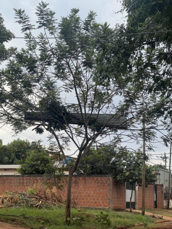 Fuerte temporal | Destrozos en viviendas y la capilla Virgen de Guadalupe del barrio Latinoamérica 2 WhatsApp Image 2025 02 11 at 19.08.12 1 - 1