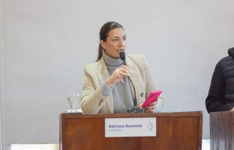 Denuncias en el PRO | “Si exigir que alguien cumpla con su trabajo es maltrato, estamos con los valores trastocados” Adriana Kosnicki