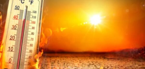 Calentamiento global en cifras: 2025 rompe récords históricos de temperatura y deshielo El 2025 fue el año más caluroso registrado, con récords de temperatura, deshielo y aumento de gases de efecto invernadero, según la OMM.