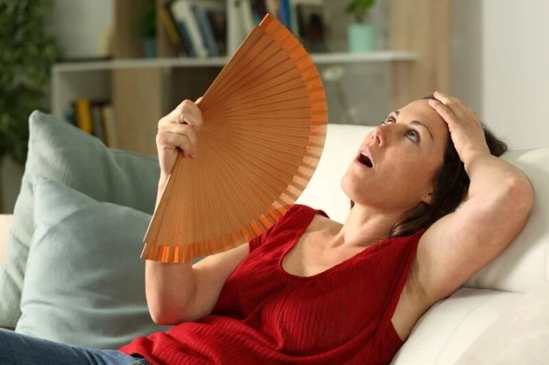 Martes soleado y con máximas que alcanzarán los 34° en Misiones 2 calor en Misiones