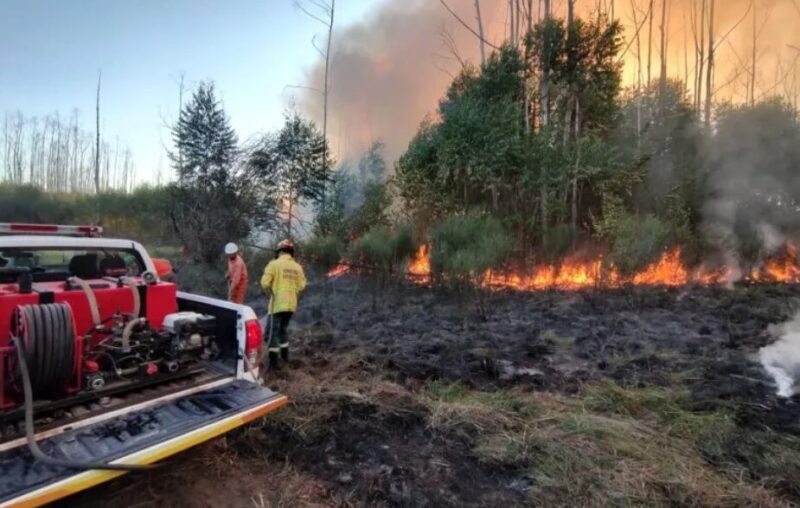 incendio corrientes - 4