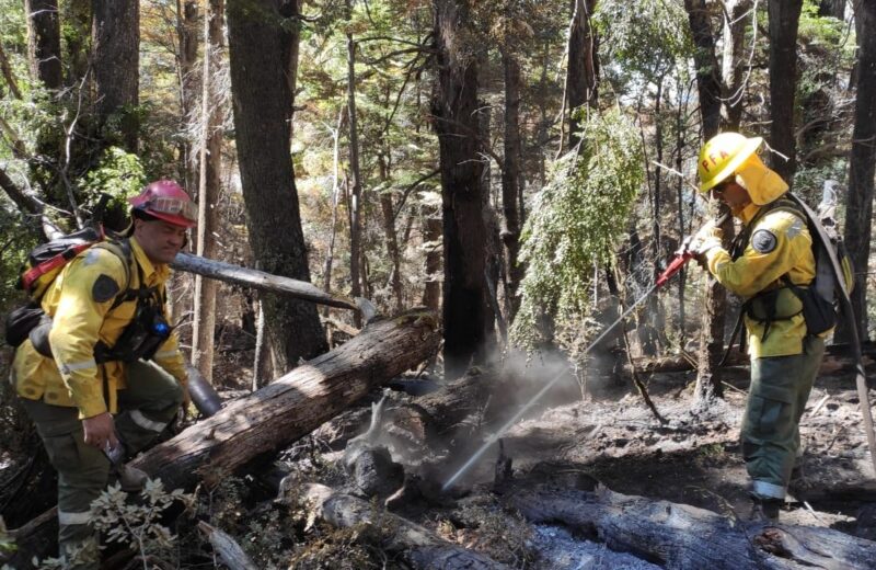 incendio neuquen - 2