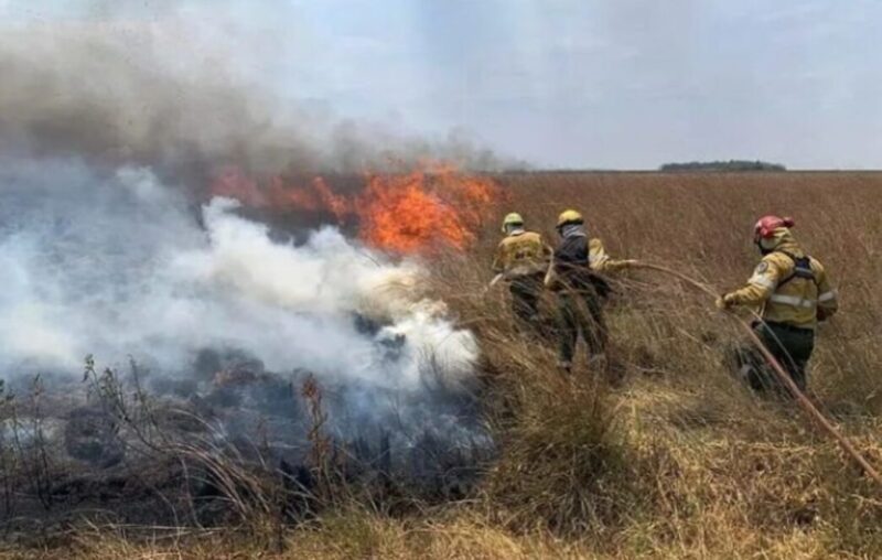 incendiosss 1 - 6