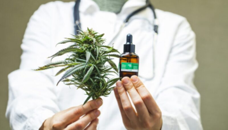 reprocann medico 1 - 4