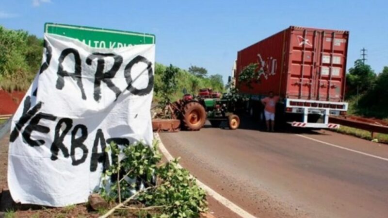 Crisis yerbatera en Misiones: productores analizan protestas en Campo Grande por el derrumbe del precio yerba