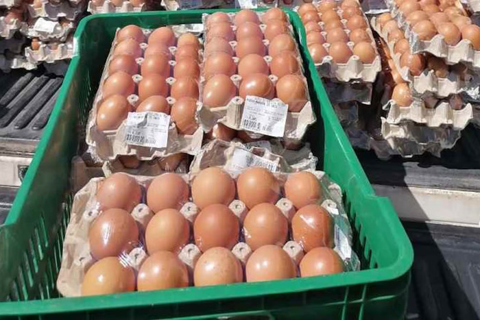 Los huevos siguen subiendo en marzo, el maple pasó de $4.500 a $6.500 3 923794 14b 2 1 - 2