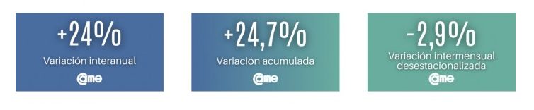 Pymes Argentinas: Fuerte suba interanual en febrero, pero se registró un retroceso mensual en las ventas 4 came - 3