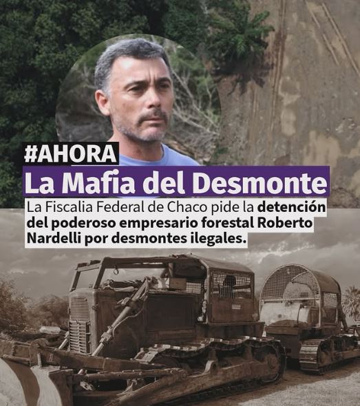 Fallo inédito: Piden la detención de empresario forestal acusado de realizar desmontes en Chaco 4 desmonte - 3