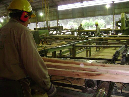 Misiones: Retrocedió la actividad económica y hay mucha preocupación en las PyME según la CEM 5 image 70 - 4