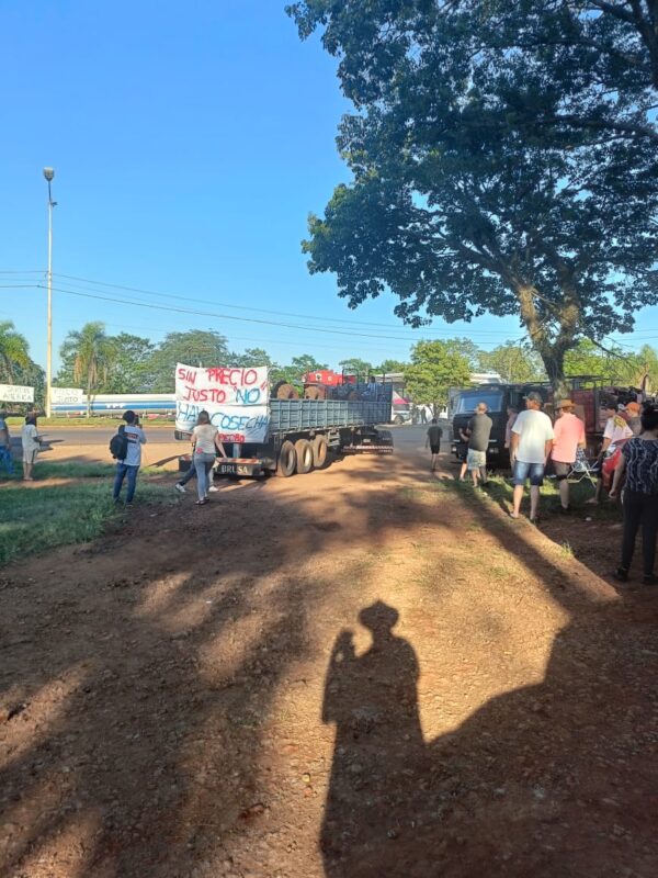 Conflicto yerbatero | Más de 100 productores se concentran en San José sin cortar la ruta 7 yerba san jose 1 - 6