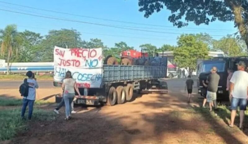 Conflicto Yerbatero | “Nos encontramos sin salida y antes que morirnos, llegamos aquí a protestar” yerba - 2