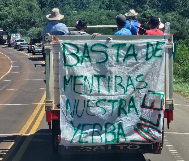 Herrera Ahuad | “El mercado no tiene corazón, razona con la plata” 3 yerbateros - 2