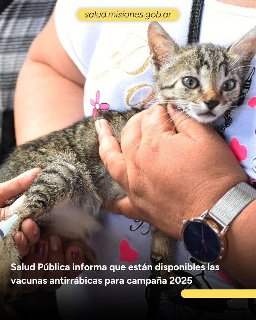 Salud Pública lanza la campaña 2025 de vacunación antirrábica para perros y gatos 4 487777555 973109244997298 8159405908803351747 n - 3