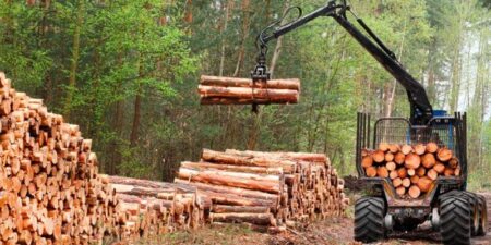 La producción industrial cayó 6,1% en noviembre y acumula once meses de retroceso La mega planta de celulosa en Ituzaingó proyecta una inversión de US$ 2.000 millones y promete transformar la economía regional.