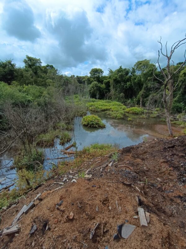 San Pedro: Investigan contaminación de aserradero a un arroyo 6 WhatsApp Image 2025 04 05 at 17.31.53 - 5