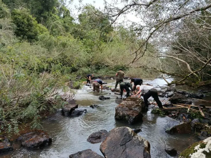 Desarmaron trampas Paris para atrapar peces de comunidades Mbya 3 md 3 - 2