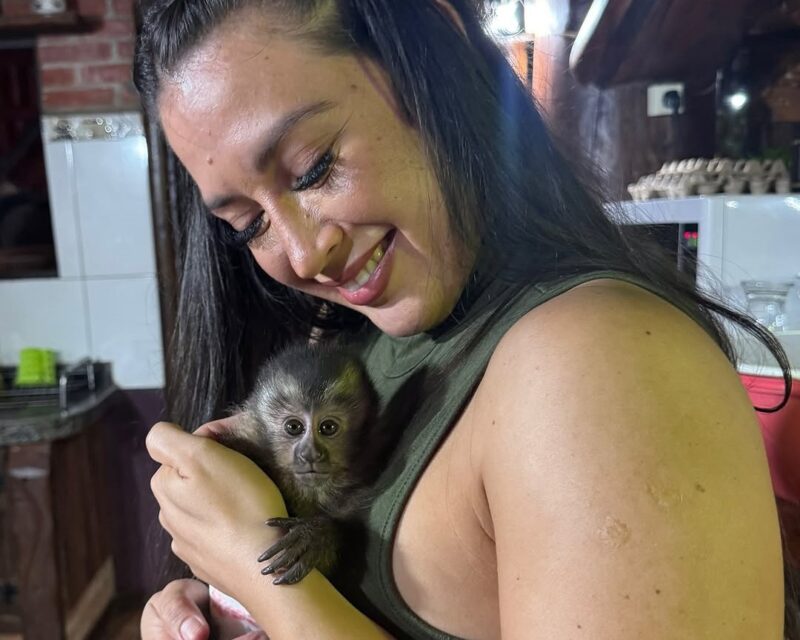Piesco de Fundación Ohana: “El caso de la influencer con el mono capuchino refleja un problema diario” 2 Piesco insiste en la necesidad de endurecer las medidas legales contra quienes tengan animales silvestres de forma ilegal y en fortalecer las campañas de concientización.