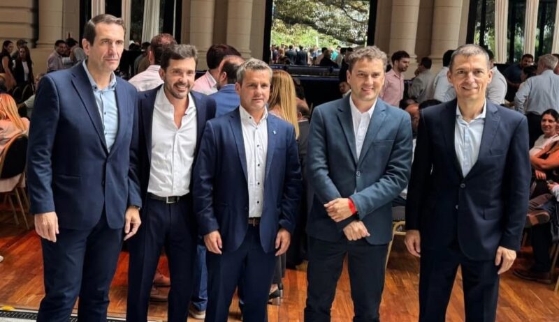 radicales peluca2 - 8