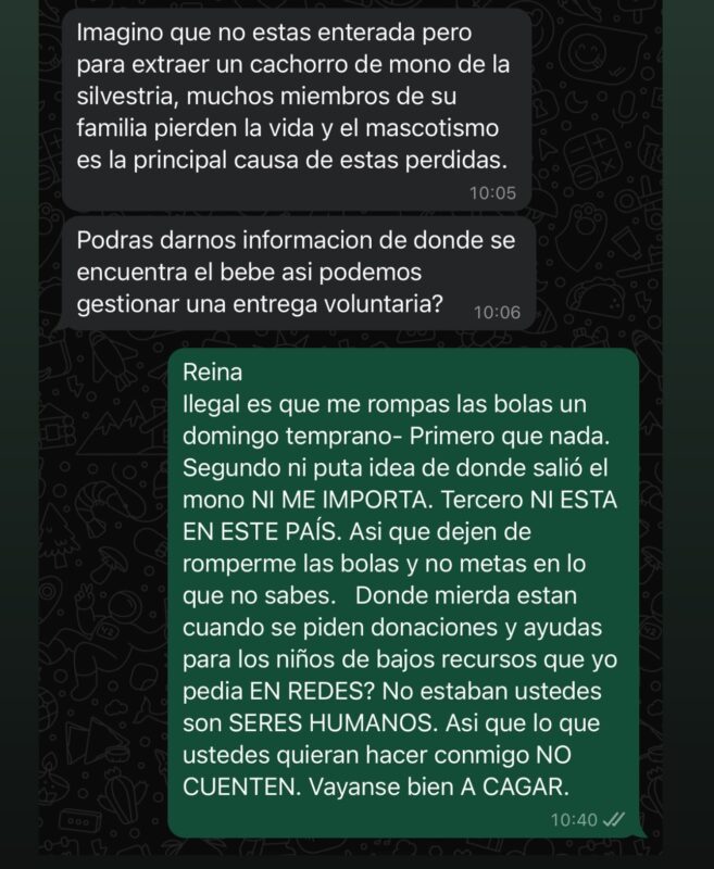 “Maxi”, el mono que desató un enfrentamiento de influencer con Ecología y una ONG 4 respuesta a ohana - 3