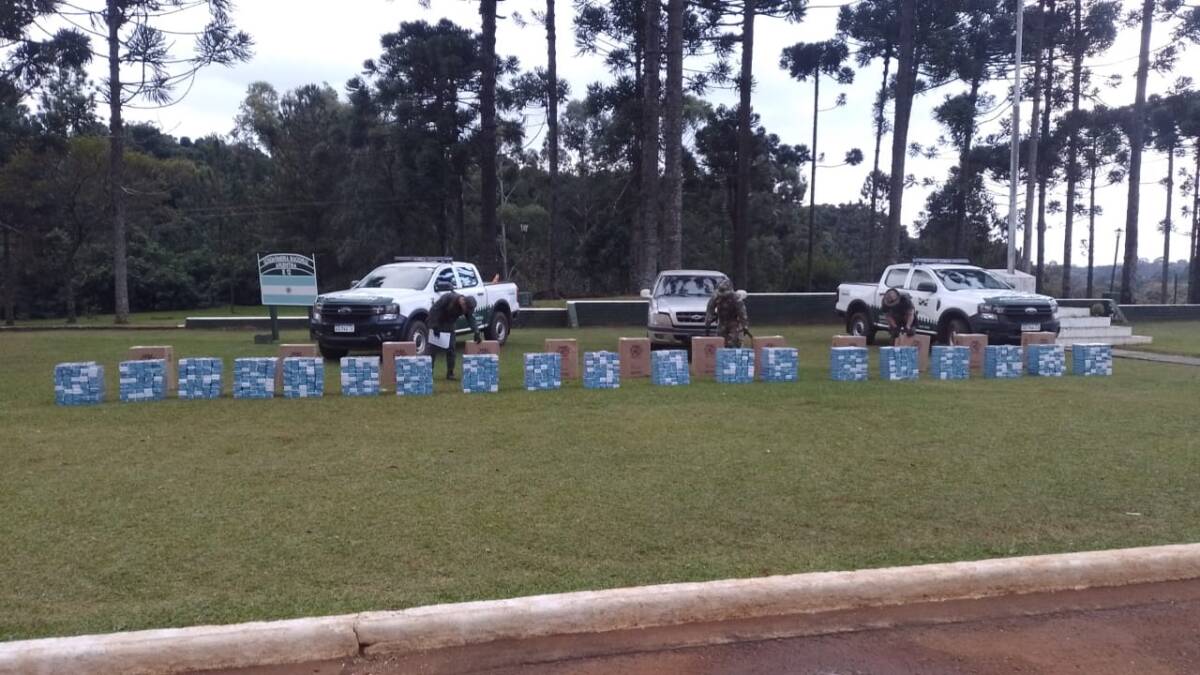 Gendarmes incautaron más de 43 mil paquetes de cigarrillos de contrabando en Misiones 2 Secuestro de cigarrillos en Bernardo de Irigoyen