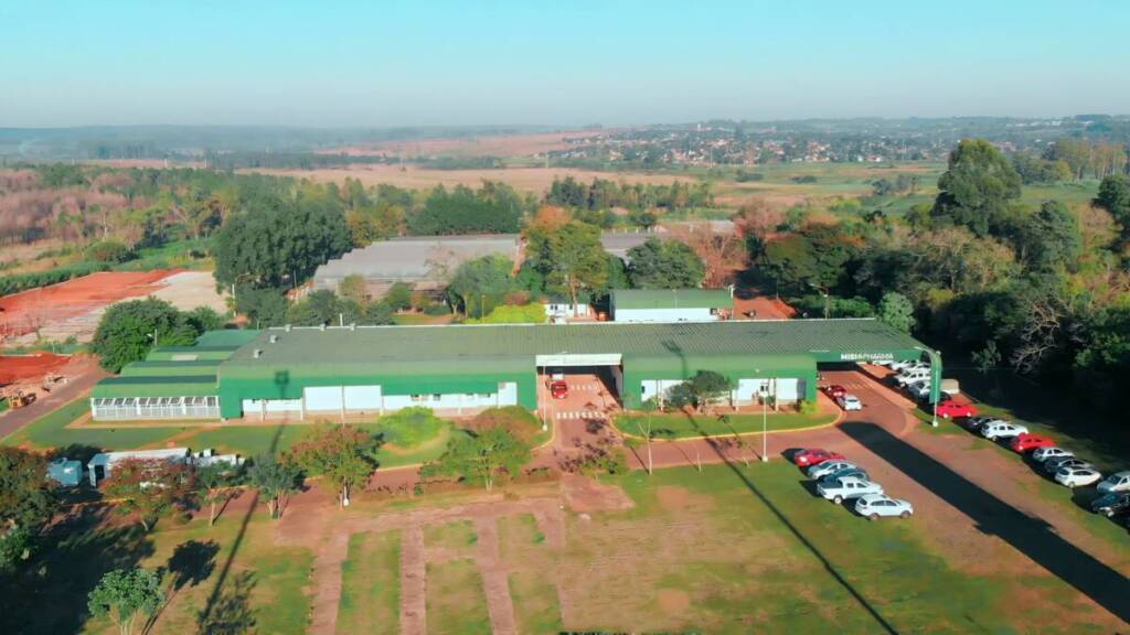 Miravet asumió en Biofábrica Misiones con un plan centrado en comercialización e internacionalización 6 El proyecto, desarrollado bajo invernadero con sistema de hidroponía en sustrato, permitió realizar una cosecha en contraestación