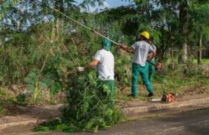 Operativo de poda en Posadas: alcanzó 165 barrios y seguirá hasta agosto poda13 - 1