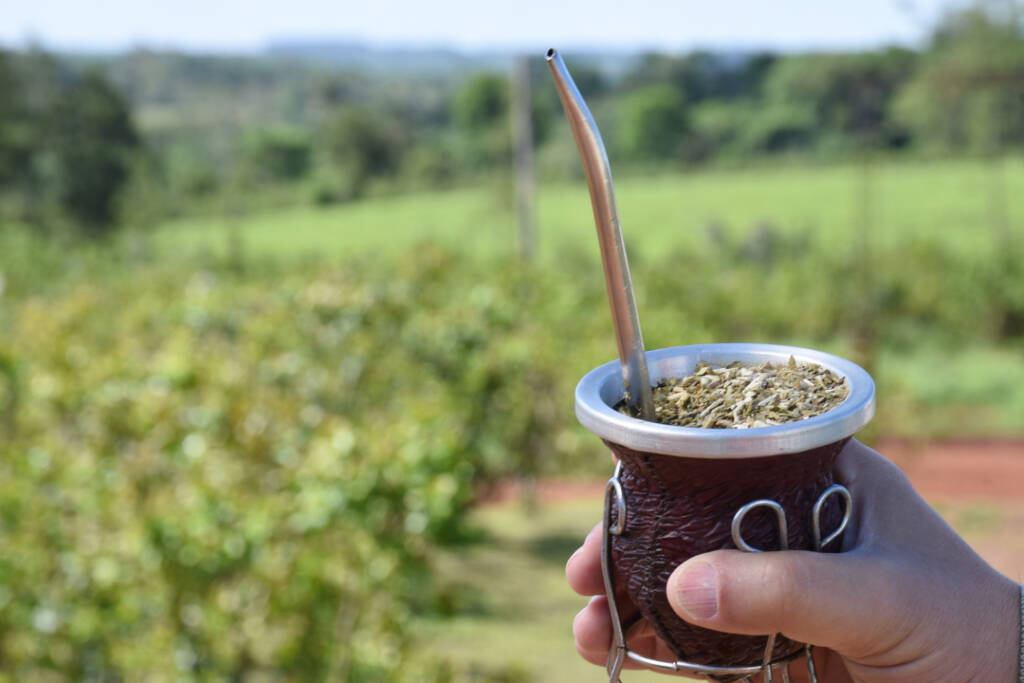 yerba