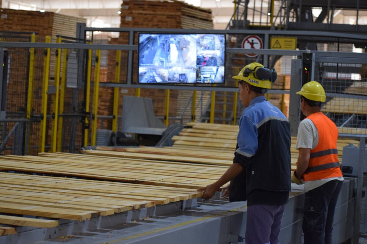 “Sin reforma impositiva, no se sostiene el trabajo”: alerta del sector maderero