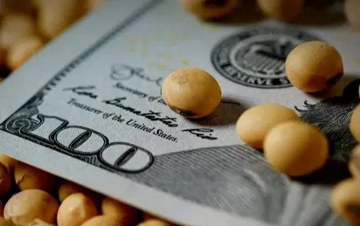 Dólar