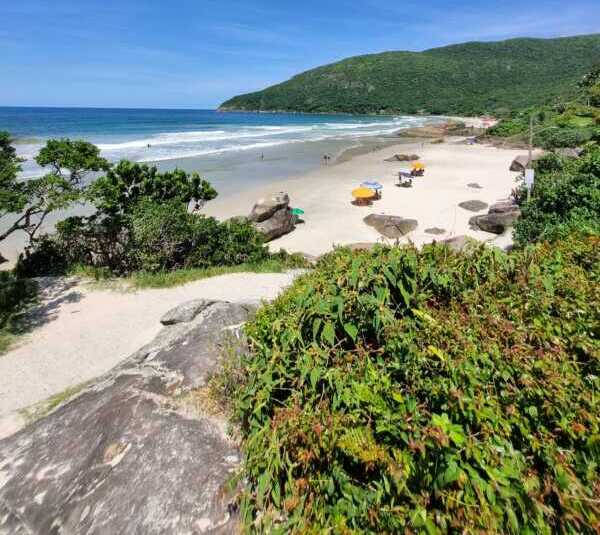 Turismo invernal: eligen más Brasil que destinos locales 2 Brasil el elegido del turismo de invierno