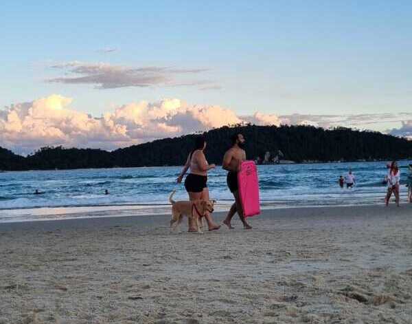 Turismo invernal: eligen más Brasil que destinos locales Imagen de WhatsApp 2025 06 23 a las 20.54.10 e9f5a2b6 e1750722994719 - 1