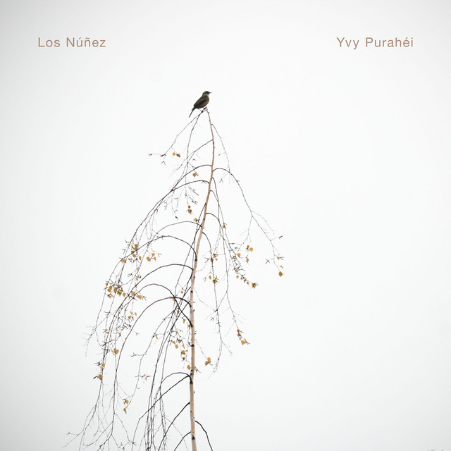 Orgullo misionero: Los Núñez ganaron un Premio Gardel 2025 por su álbum Yvy Purahéi 3 Los Núñez fue anunciado como ganador del Mejor Álbum Instrumental‑Fusión‑World Music por su disco Yvy Purahéi.
